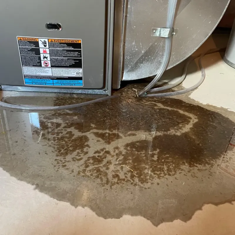 Appliance Leak Cleanup in Harrisburg, NC